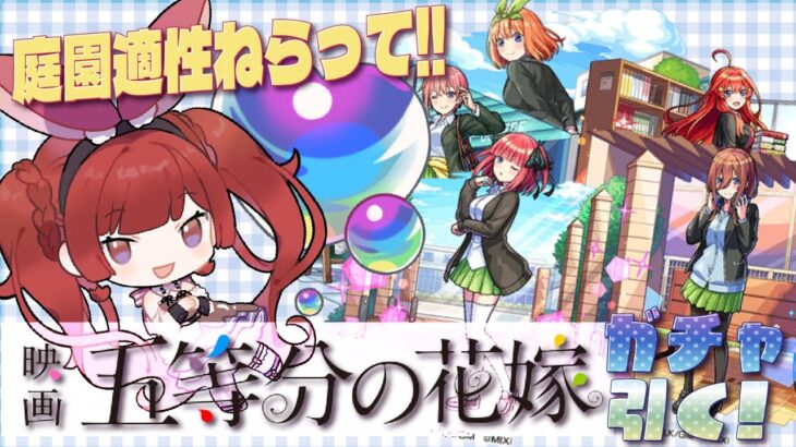 【ガチャ】高スペックと噂の五等分の花嫁のキャラを狙ってガチャを引く！【モンスト】＃空友ちあ