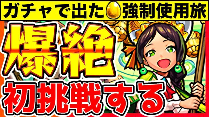 【モンスト】初めての爆絶へ。嫌がらせクエの”シャンバラ”に立ち回りで挑む。【一期一会ストライク_書庫編】