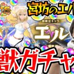 【モンスト】M4宮坊のエル狙い新春超獣神祭ガチャ！キュピーンの謎完全解明!!?