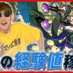 【モンスト】ノマクエ2倍に向けてノマクエ