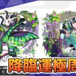 モンスト　参加型配信　ヒトミヨ　新イベクエ