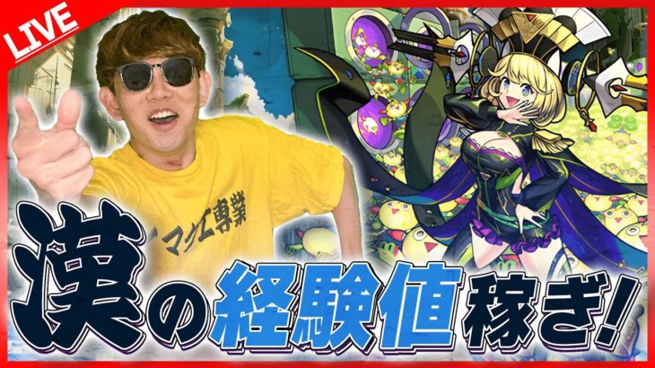 ノマクエ