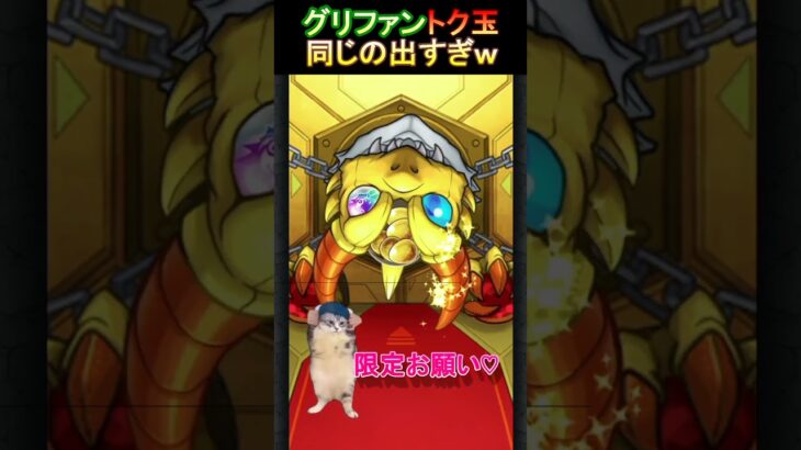 【トク玉ガチャ】被りすぎｗ　  #トク玉   #モンスト　#猫ミーム  #shorts    #short