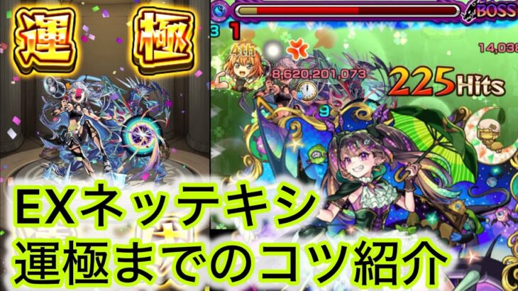 【ネッテキシ運極】ネッテキシ攻略の注意点紹介！！【モンスト】