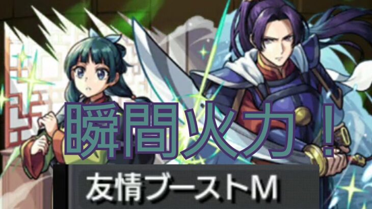 【猫猫&壬氏】3体編成でギリダウト位のキャラ！せめてコラボを楽しむ！！【モンスト】
