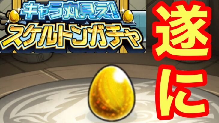 【モンスト】【スケルトンガチャ】遂にアイツが当たる！？【5.6.7日目】