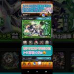 【モンスト】『グリーンファンタジー』ガチャ運悪いにゃんこ先生のトク玉8連