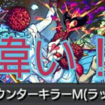 【シュリン&ガーラ】天魔の孤城で使える運極！カウンターキラーMは伊達じゃない【モンスト】