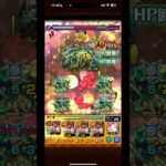 〈名探偵コナンコラボキャラクター〉轟絶「カウシーディヤ」で”工藤新一&毛利蘭”使ってみた記録簿｡　〈#モンスターストライク #モンスト #適正 〉