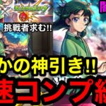 【薬屋コラボ】最速級⁈『闇ガチャ』でまさかの神引き！！※挑戦者求む‼︎【モンスト】