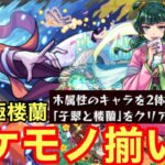 【モンスト】【超究極楼蘭】適正がバケモノ揃いw【木属性2体編成】【初見攻略】【薬屋のひとりごとコラボ】