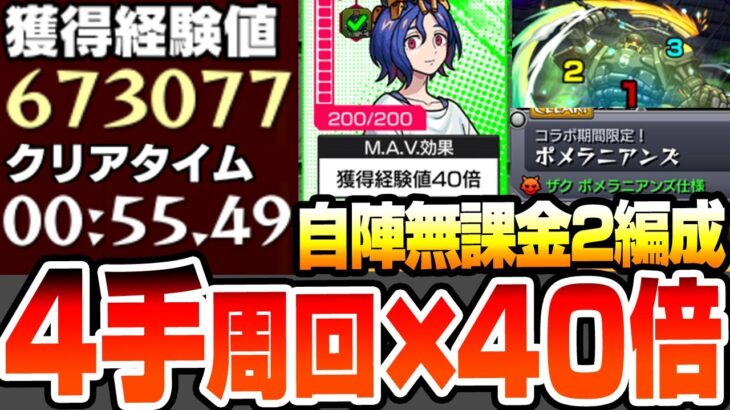 【モンスト】『自陣無課金』4手高速周回×経験値40倍でランク上げ2編成『超絶 ポメラニアンズ』シュウジのマヴ効果で超効率ランク上げ！ハロ守護獣の森【ジークアクスコラボ】【へっぽこストライカー】
