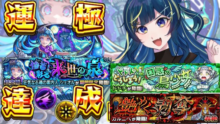 【 #モンスト 】只今ドドチ中！シェオル 彩 攻略目指して！！いろいろ詰込み！【 星時まほろ 】