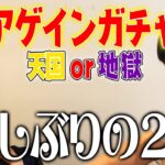 【番外編】2人にアゲインガチャ引いてもらった【モンスト】