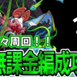 【モンスト】初心者でも組めて高速周回できる！激究極『ショカモリ』自陣無課金編成攻略解説【モンスト夏休み2025】