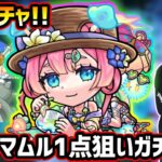 【🔴モンストライブ】夏αガチャ開催！新キャラ『マムルα・ラクリィα・TFAα』狙いでガチャるぞ！！！【けーどら】