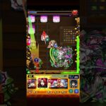 運撃トレイル　ムンドゥス木（自陣火）攻略【モンスト】