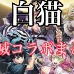 白猫プロジェクト　鬼滅の刃 まとめ＋その他　#白猫 #白猫プロジェクト #鬼滅之刃   #鬼滅 #ガチャ動画 #ポケポケ #モンスト　#伊黒小芭内 　#鬼滅の刃コラボ #きめつのやいば　#ガチャ動画