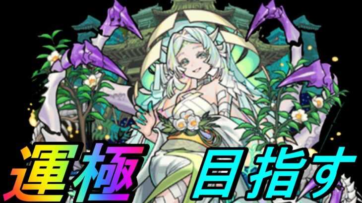 【モンスト】初見さんも大歓迎　涅槃寂静周回　効率重視ならソロよりマルチになるんかな