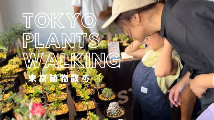 【東京植物散歩】PLANT&POT vol.11で珍奇なモンストのサボテンと出会った！イベントと植え替えをレポート