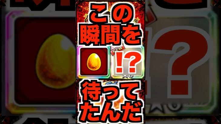 【後払いガチャ】新春キャラ確定枠で大勝利！！ #モンスト #超獣神祭 #ケンケン #shorts