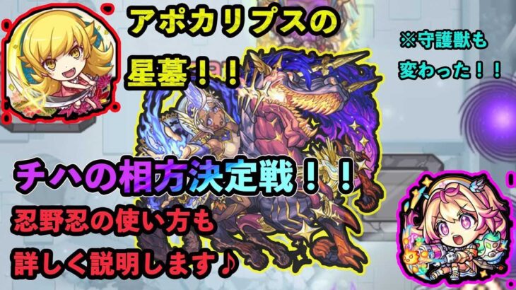 【モンスト 破壊の星墓】アポカリプスの星墓！！※忍野忍はルミナスより優秀？立回り詳しく解説します！！【攻略】