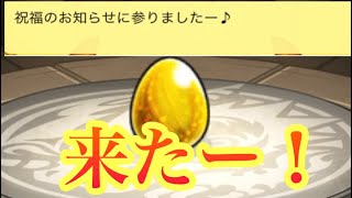 【モンスト】【モンストガチャ】　ガチャ引いたら祝福来たぞ、